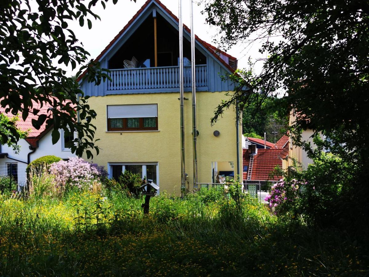 碧姬公寓 Reichelsheim 外观 照片